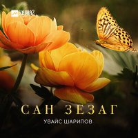 Постер песни Увайс Шарипов - Сан зезаг