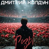 Постер песни Дмитрий Колдун - Розы