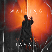 Постер песни Javad - Waiting