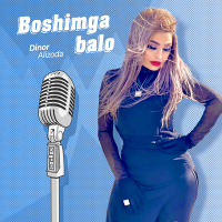Постер песни Dinor Alizoda - Boshimga balo
