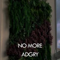 Постер песни Adgry - No more