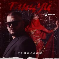 Постер песни Темиркош - Танцуй