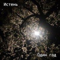 Постер песни Истень - Лунный Свет