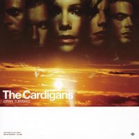 Постер песни The Cardigans - My Favourite Game (Ayur Tsyrenov DFM Remix)