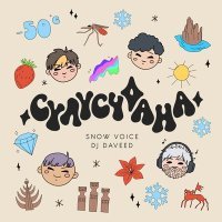 Постер песни Snow Voice, DJ Daveed - Сулусчаана