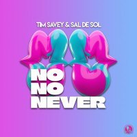Постер песни Tim Savey, Sal De Sol - No No Never