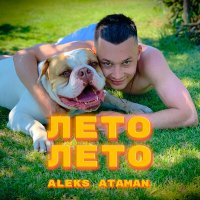 Постер песни ALEKS ATAMAN - Лето, лето (the-asia Remix)