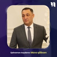 Постер песни Qahramon Xaydarov - Mavo qilibsen