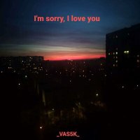 Постер песни _VAS5K_ - I'm sorry, I love you