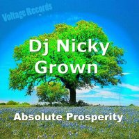 Постер песни Nicky Grown - Absolute Prosperity
