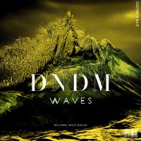 Постер песни DNDM - Waves