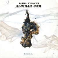 Постер песни Tanir & Tyomcha - Дымная фея