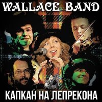 Постер песни Wallace Band - Junga (Foggy Banks)