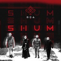 Постер песни Go_A - Shum (Remix)