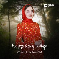 Постер песни Селима Муцахаева - Марзо йоцу шовда