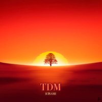 Постер песни BENAMI - TDM