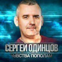 Постер песни Сергей Одинцов - Давай друг другу говорить