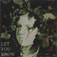Постер песни KR1ZER - Let You Know (Keilib Remix)