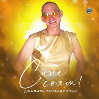 Постер песни Джалиль Гайбадуллин - Сине сөям!