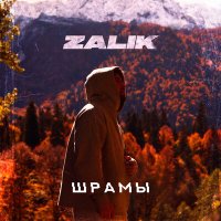 Постер песни Zalik - Шрамы