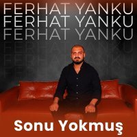 Постер песни Ferhat Yanku - Sonu Yokmuş