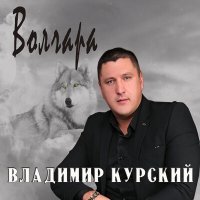 Постер песни Владимир Курский - Уазик ППС