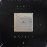 Постер песни Gress, Dimma Urih - Парень