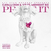 Постер песни Cavalli Don, VIP, Midnight Biiz - Prove It