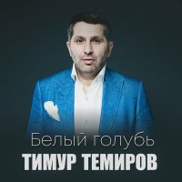 Постер песни Мила Иконская, Тимур Темиров - Ромашка
