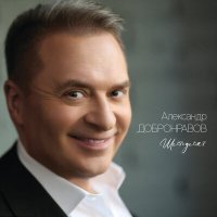 Постер песни Александр Добронравов - Тишина