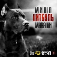 Постер песни МАВАШИ group - Питбуль