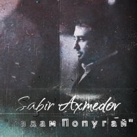 Постер песни Sabir Axmedov - Мадам Попугай