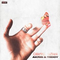 Постер песни Akris & Teddy - Солнечные зайчики