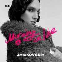 Постер песни Zhidkovskiy - Morning Be Like (Эй, на хуй пошёл)