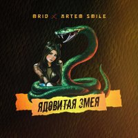 Постер песни Mrid, Artem Smile - Ядовитая змея