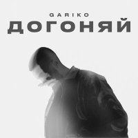 Постер песни Gariko - Догоняй