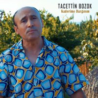 Постер песни Tacettin Bozok - Kaderime Dargınım