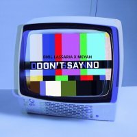 Постер песни Emil Lassaria, Meyah - Don't Say No