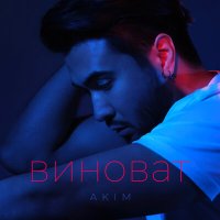 Постер песни Akim - Виноват