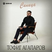 Постер песни Тофиг Агаларов - Синица