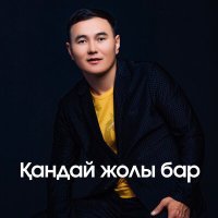 Постер песни Еділ Майзаков - Қандай жолы бар