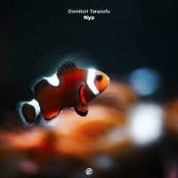 Постер песни Domitori Taranofu - Nya