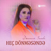 Постер песни Джамиля Залова - Heç dönməsəndə