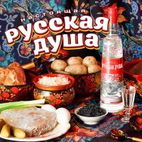 Постер песни Николай Мудрый - Роза на морозе