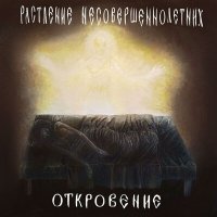 Постер песни Растление несовершеннолетних - Ангел (молитва о ближнем)