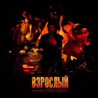 Постер песни Poof - Взрослый