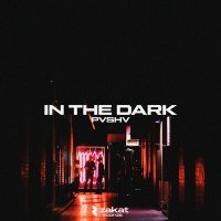 Постер песни PVSHV - In The Dark