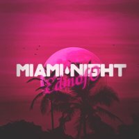Постер песни Edmofo - Miami Night