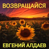 Постер песни Евгений Алдаев - Летняя