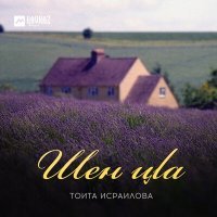 Постер песни Тоита Исраилова - Дезчу денца